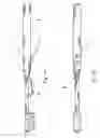 Fig. 02 - Method for the identification of dental plaque, a toothbrush for applying said method and a composition to be used with same