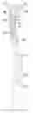 Fig. 01 - LIGHT-BASED TOOTHBRUSH