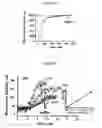 Fig. 07 - Nanopatterned surfaces and related methods for selective adhesion, sensing and separation