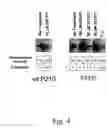 Fig. 05 - Compounds and method of identifying, synthesizing, optimizing and profiling protein modulators