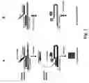 Fig. 02 - Detection of HPV