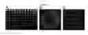 Fig. 03 - Reverse transfection of cell arrays for structural and functional analyses of proteins