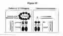 Fig. 19 - Reverse transfection of cell arrays for structural and functional analyses of proteins