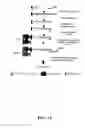 Fig. 14 - Electrochemical detection of nucleic acid sequences