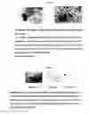 Fig. 13 - Method for diagnosis of tuberculosis by smear microscopy, culture and polymerase chain reaction using processed clinical samples and kit thereof