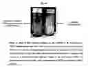 Fig. 14 - Method for diagnosis of tuberculosis by smear microscopy, culture and polymerase chain reaction using processed clinical samples and kit thereof