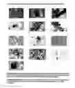 Fig. 19 - Method for diagnosis of tuberculosis by smear microscopy, culture and polymerase chain reaction using processed clinical samples and kit thereof