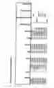 Fig. 12 - Inversion on chromosome 8p23 is a risk factor for anxiety disorders, depression and bipolar disorders