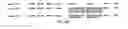 Fig. 40 - Inversion on chromosome 8p23 is a risk factor for anxiety disorders, depression and bipolar disorders