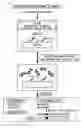 Fig. 02 - Method of detecting nucleic acid and utilization thereof