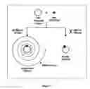 Fig. 02 - Methods for identifying polymerase inhibitors