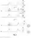 Fig. 03 - Nucleic acid aptamer-based compositions and methods