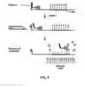 Fig. 06 - Nucleic acid aptamer-based compositions and methods