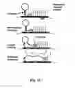 Fig. 12 - Nucleic acid aptamer-based compositions and methods
