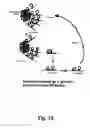 Fig. 15 - Nucleic acid aptamer-based compositions and methods
