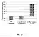 Fig. 25 - Nucleic acid aptamer-based compositions and methods