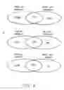 Fig. 08 - Small regulatory RNAs and methods of use