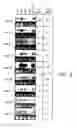 Fig. 10 - Small regulatory RNAs and methods of use