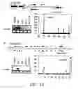 Fig. 12 - Small regulatory RNAs and methods of use