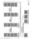 Fig. 11 - RNA interference