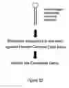 Fig. 13 - RNA interference