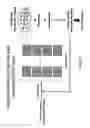 Fig. 16 - RNA interference