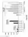 Fig. 22 - RNA interference