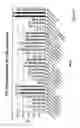 Fig. 44 - RNA interference