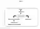 Fig. 02 - Detection of biological DNA