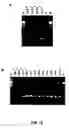 Fig. 62 - vaccines and diagnostic tests