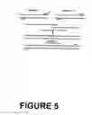 Fig. 06 - Process for identifying antigenized antibodies using ribosome cell free expression system