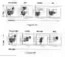 Fig. 02 - Methods for diagnosing and evaluating treatment of blood disorders