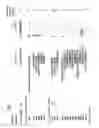 Fig. 04 - Method for producing novel DNA sequences with biological activity