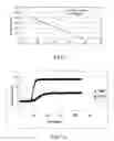 Fig. 03 - Detection of polyketide synthetase gene expression in 