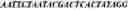 Fig. 802 - Detection of polyketide synthetase gene expression in 