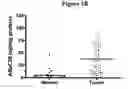 Fig. 03 - Tissue diagnostics for breast cancer