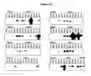 Fig. 04 - Tissue diagnostics for breast cancer