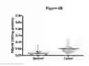 Fig. 09 - Tissue diagnostics for breast cancer