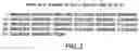Fig. 03 - Rhesus monkey dickkopf-1, nucleotides encoding same, and uses thereof
