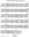 Fig. 06 - Rhesus monkey dickkopf-1, nucleotides encoding same, and uses thereof