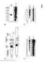 Fig. 02 - Compositions and methods for modulating the acute phase response