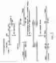 Fig. 06 - Human antibodies