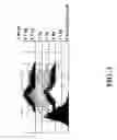 Fig. 06 - Cell display of antibody libraries