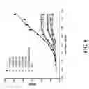 Fig. 11 - Cell display of antibody libraries