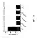 Fig. 13 - Cell display of antibody libraries