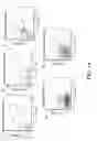 Fig. 16 - Cell display of antibody libraries
