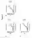 Fig. 06 - High throughput screening assay for the TRPM5 ion channel