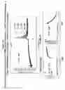 Fig. 11 - High throughput screening assay for the TRPM5 ion channel