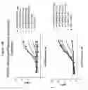 Fig. 18 - High throughput screening assay for the TRPM5 ion channel