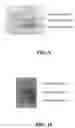 Fig. 11 - Glass-immobilized, protein-acrylamide copolymer and method of making thereof